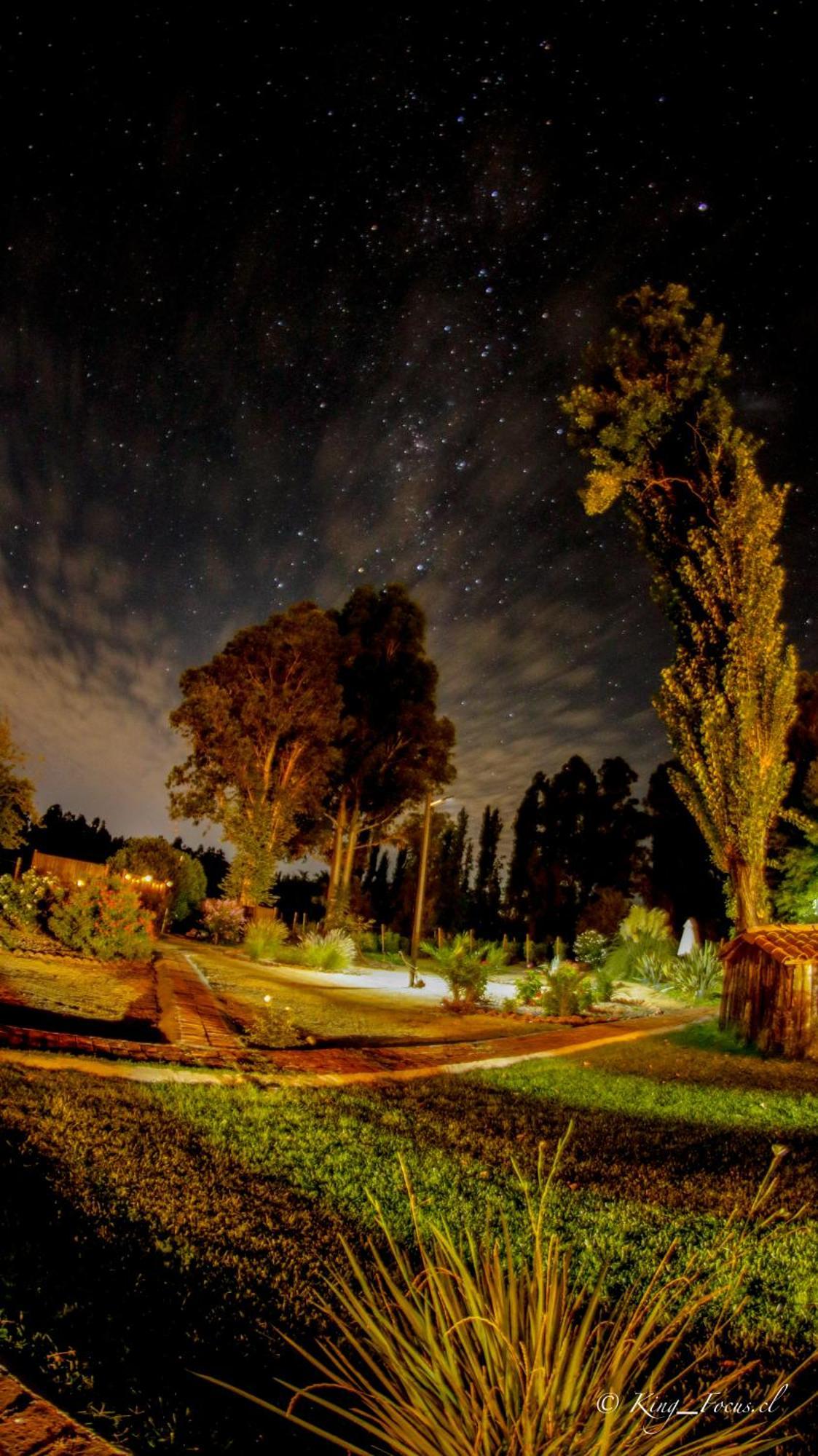 Hotel Boutique Raíces de Colchagua Santa Cruz Extérieur photo